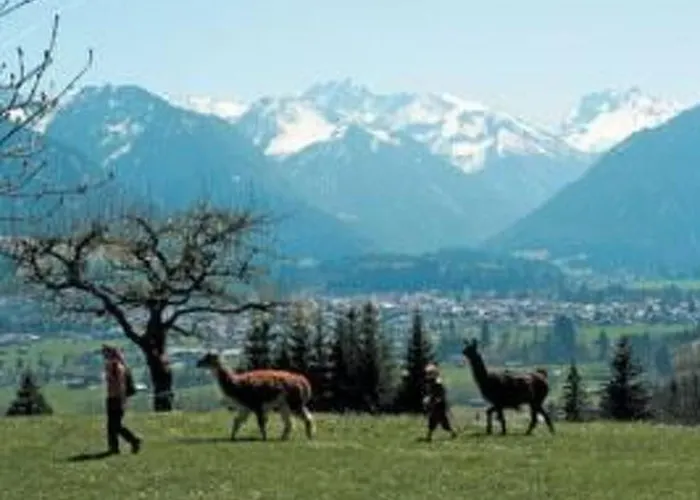 Falkenberg Wh 218 By Interhome דירה